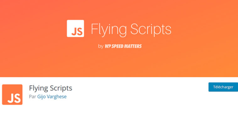 Page d’accueil de l’extension Flying Scripts