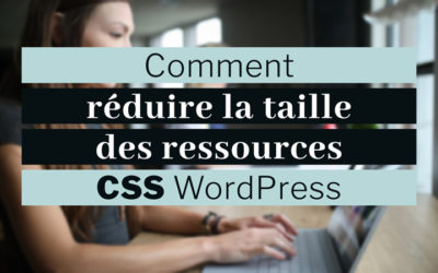 Réduire la taille des ressources CSS WordPress