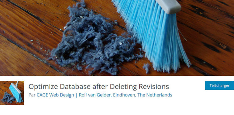 Page d’accueil de l’extension Optimize Database after Deleting Revisions